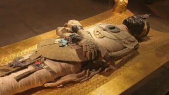 Enfermedades de las momias del antiguo Egipto