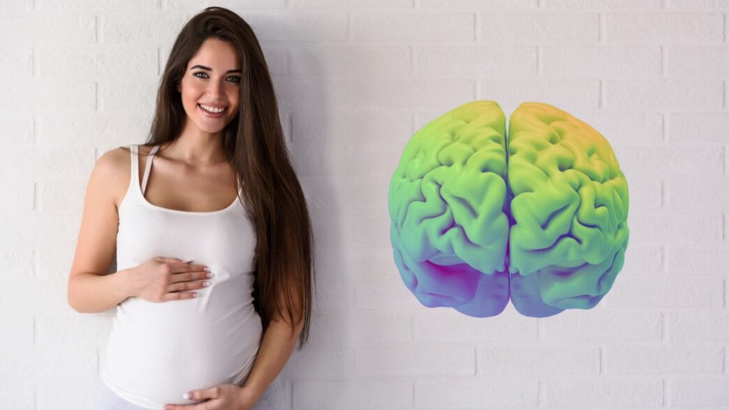 Cambios en el cerebro de la embarazada