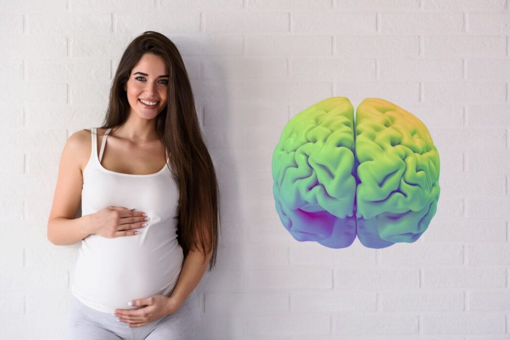 Cambios en el cerebro de la embarazada