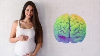 Cambios en el cerebro de la embarazada
