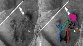 Los investigadores analizaron el ADN de los huesos