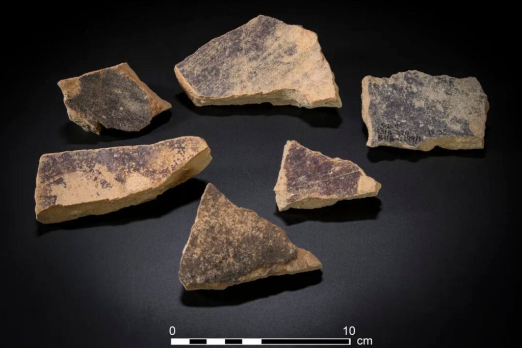 hallazgo-fragmentos-purpura-israel | Planeta 16 Fragmentos de enormes tinajas con restos de tinte púrpura hallados en Tel Shiqmona