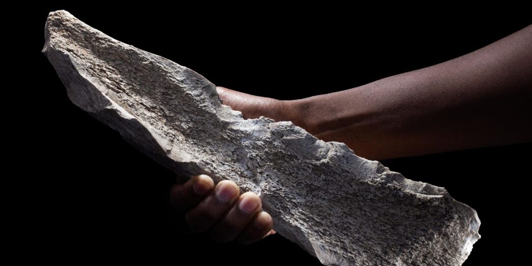 Los antepasados humanos ya fabricaban herramientas de hueso un millón de años antes de lo que se creía