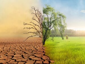 El planeta podría alcanzar los 1,9 °C de calentamiento antes de 2030, según nuevo informe de la OMM