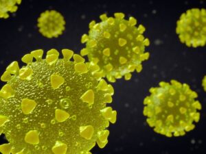 El nuevo mapa genético del SARS-CoV-2 apunta al comercio salvaje como origen de la pandemia de COVID-19