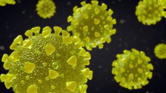El nuevo mapa genético del SARS-CoV-2 apunta al comercio salvaje como origen de la pandemia de COVID-19