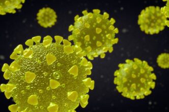 El nuevo mapa genético del SARS-CoV-2 apunta al comercio salvaje como origen de la pandemia de COVID-19