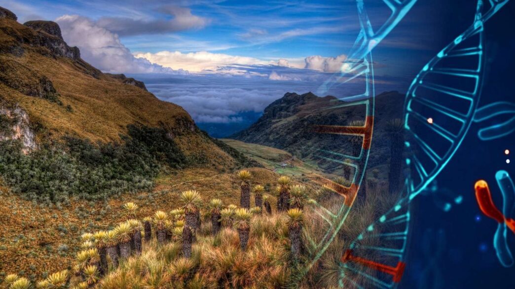 Un estudio genético ha revelado la desaparición total de un linaje humano que habitó el Altiplano de Bogotá durante 4.000 años