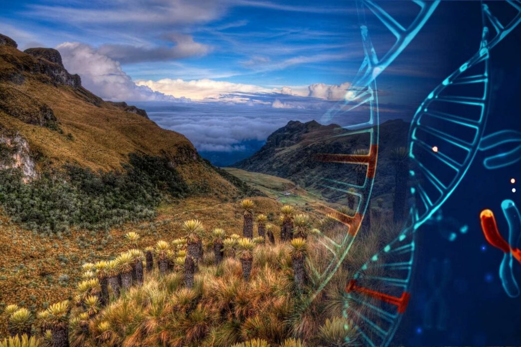 Un estudio genético ha revelado la desaparición total de un linaje humano que habitó el Altiplano de Bogotá durante 4.000 años