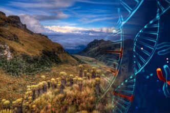 Un estudio genético ha revelado la desaparición total de un linaje humano que habitó el Altiplano de Bogotá durante 4.000 años