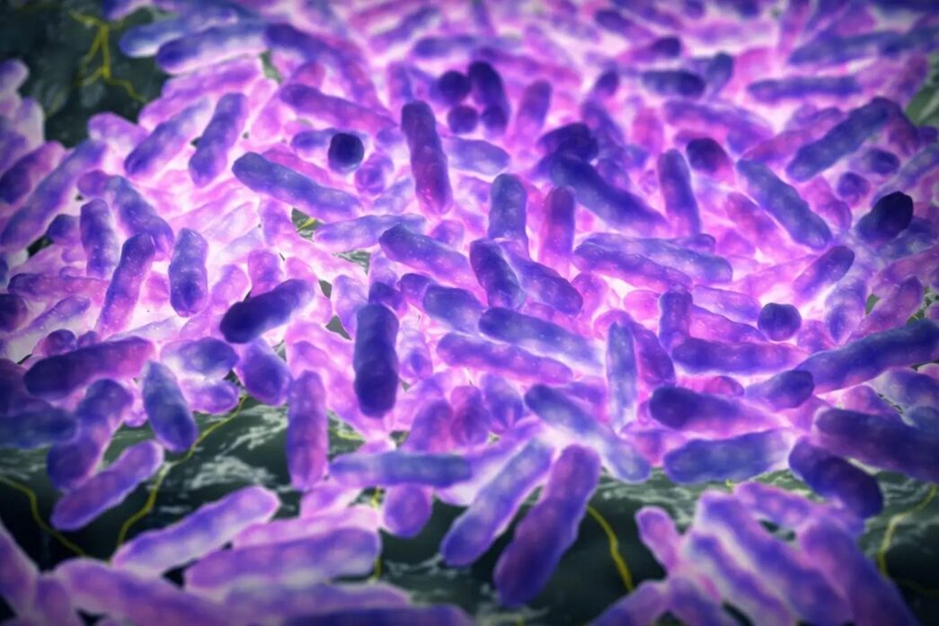 Una variante ancestral de la lepra ya se expandía por América al menos 1.000 años antes de la llegada de Cristóbal Colón