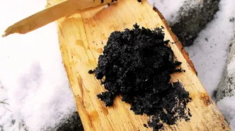 Alquitrán de corteza de abedul