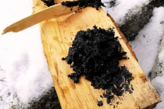 Alquitrán de corteza de abedul