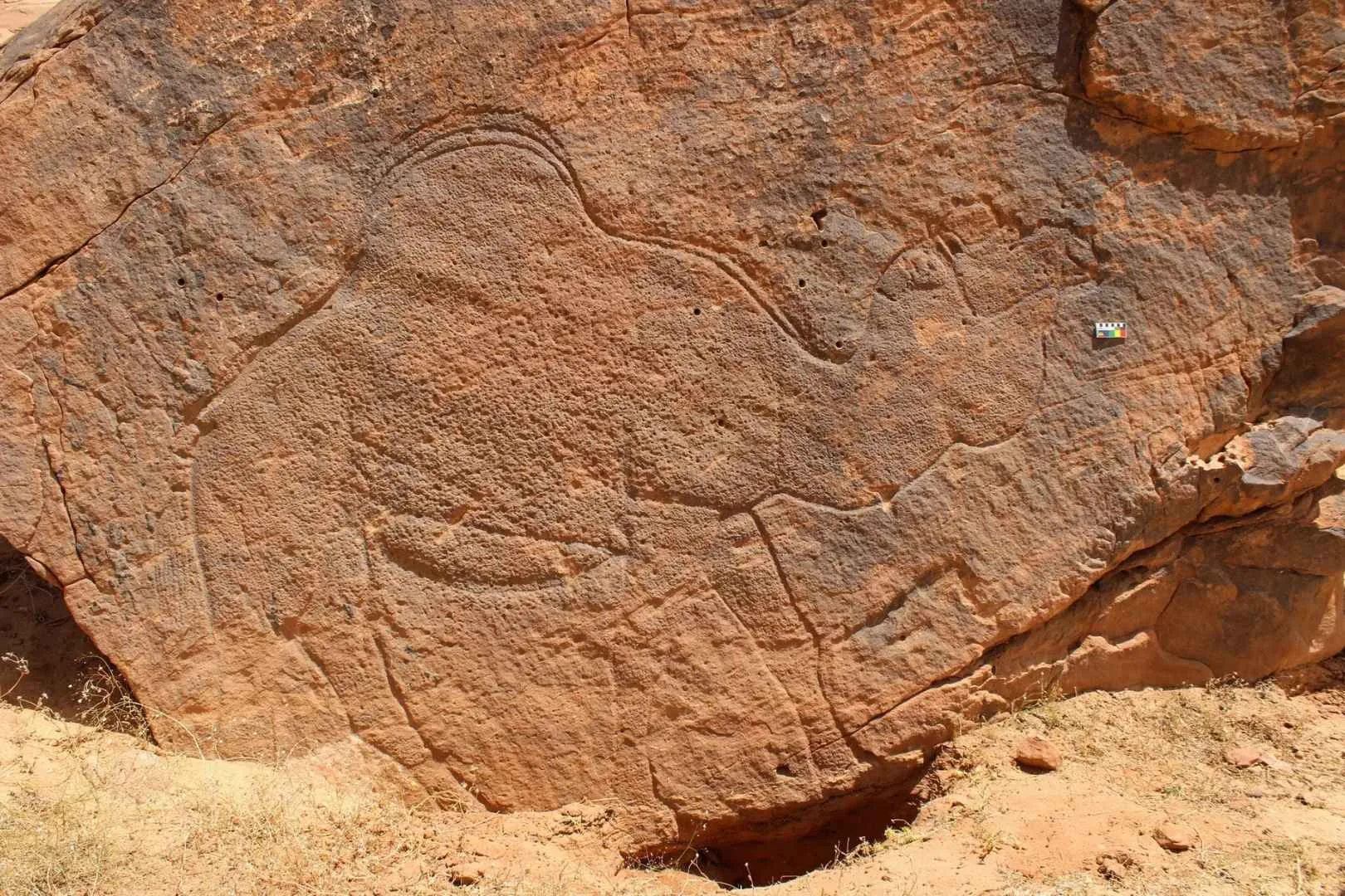 arte-rupestre-camellos | Planeta 16 Estas representaciones podrían ser coetáneas del apogeo del arte rupestre en Europa occidental