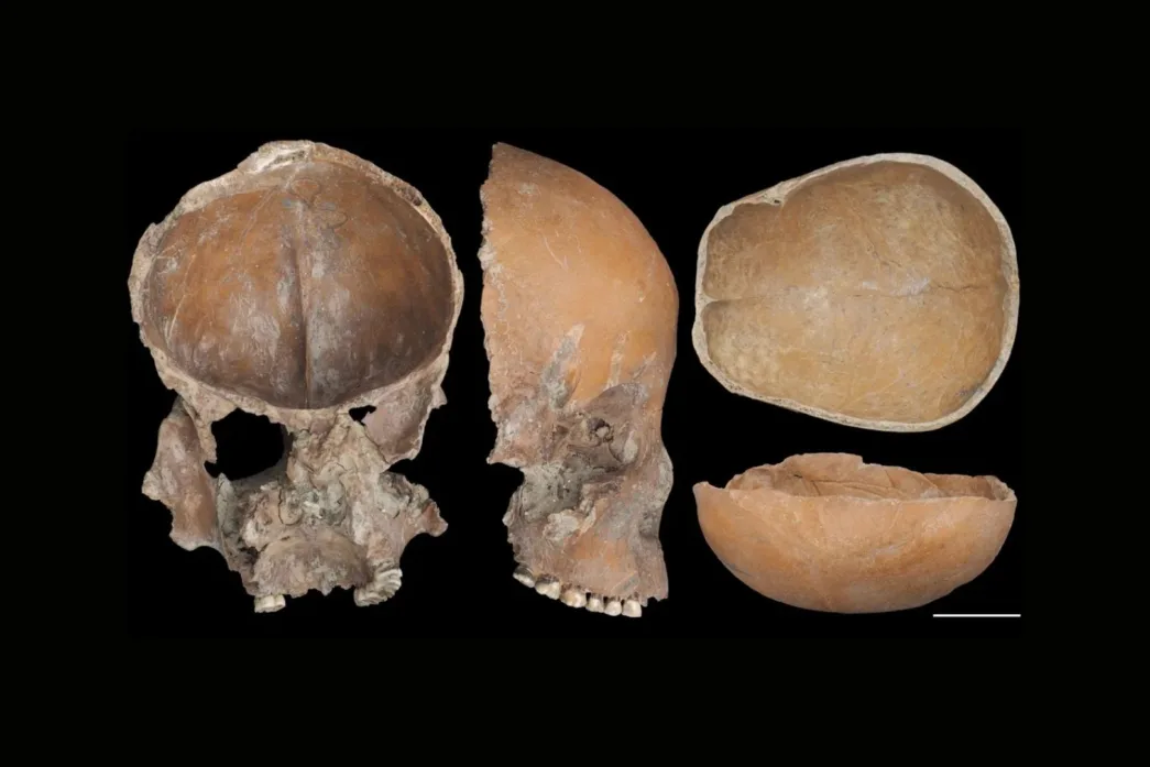 Los inquietantes cráneos tallados de la ciudad neolítica de Liangzhu