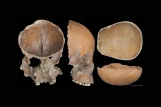 Los inquietantes cráneos tallados de la ciudad neolítica de Liangzhu