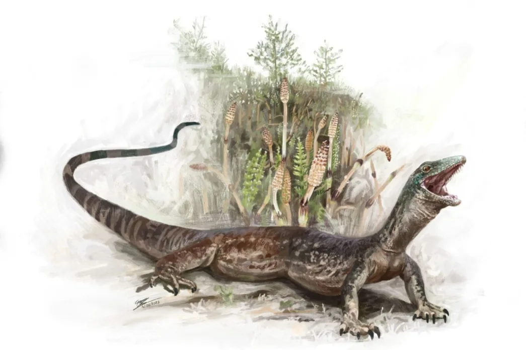 Un fósil único en el mundo encontrado en la isla de Skye podría cambiar lo que creíamos saber sobre el origen de las serpientes