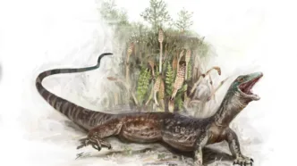 Un fósil único en el mundo encontrado en la isla de Skye podría cambiar lo que creíamos saber sobre el origen de las serpientes