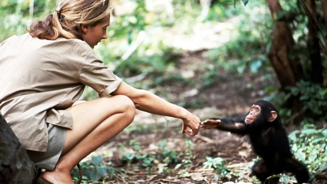 Jane Goodall con Flint
