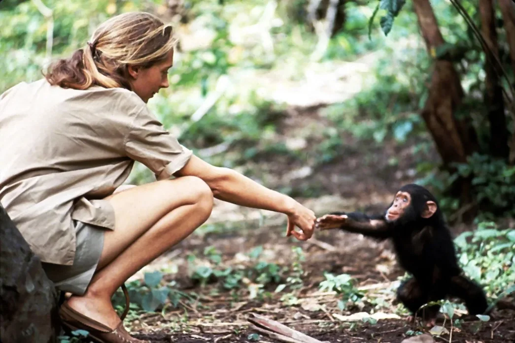 Jane Goodall con Flint