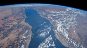 El Mar Rojo se convirtió en un desierto salino durante miles de años y un océano furioso lo trajo de vuelta