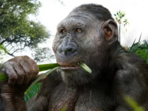 Paranthropus boisei