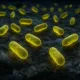 Científicos consiguieron devolver la actividad a microbios ancestrales enterrados en el permafrost y descubrieron que, poco después, comenzaban a liberar dióxido de carbono al ambiente