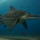El reptil marino habría habitado los océanos hace entre 193 y 184 millones de años