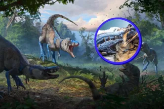 Descubren que el T. rex no fue el único gran depredador del Cretácico