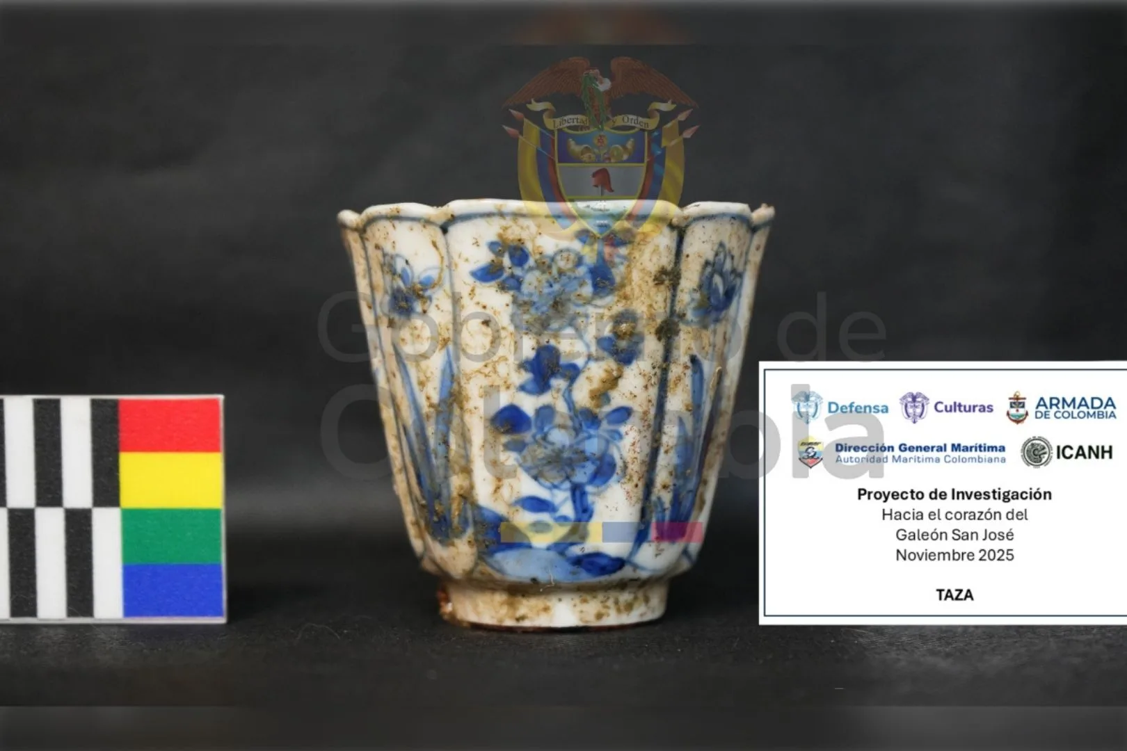 Una de las delicadas tazas de porcelana rescatadas del fondo del Caribe, testigo silencioso del comercio colonial entre Asia y América en pleno siglo XVIII