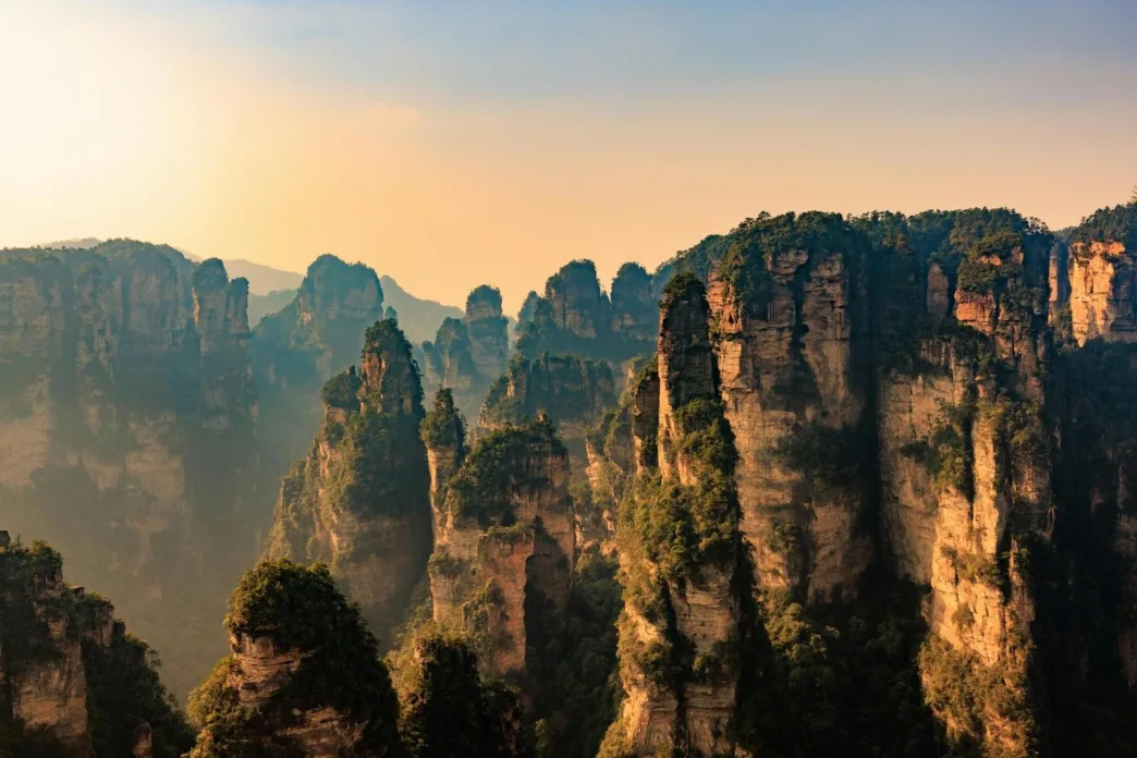 China plantó 78.000 millones de árboles para salvar sus desiertos… y terminó alterando el ciclo del agua | Planeta 16 China plantó 78.000 millones de árboles para salvar sus desiertos… y terminó alterando el ciclo del agua