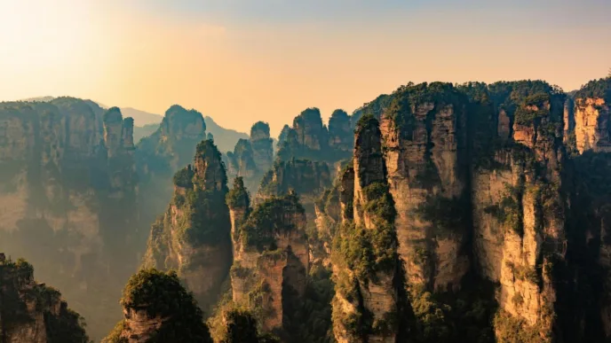 China plantó 78.000 millones de árboles para salvar sus desiertos… y terminó alterando el ciclo del agua