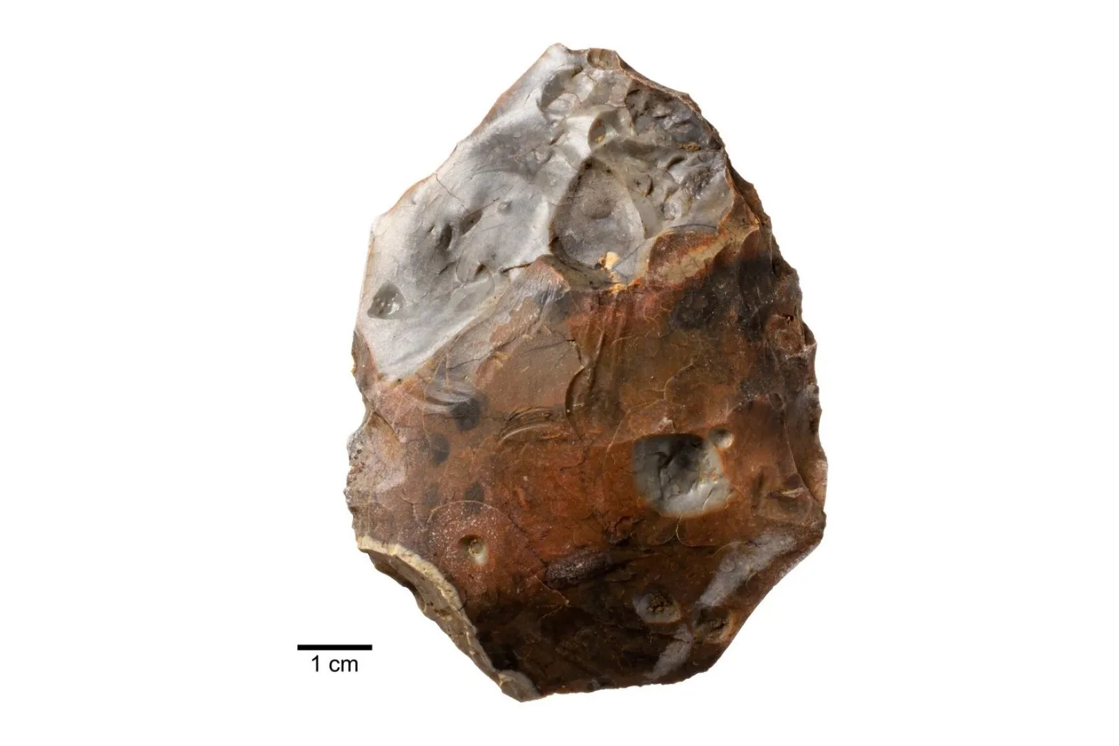 hacha-mano-arqueologia-neandertales | Planeta 16 Una hacha de mano fracturada por el calor, una de las dos localizadas junto al hogar de hace unos 400.000 años