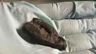 La resina de corteza de abedul presenta huellas de dientes y conserva restos de saliva humana