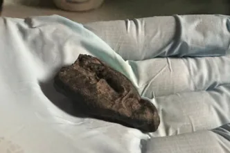 La resina de corteza de abedul presenta huellas de dientes y conserva restos de saliva humana