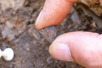 Arqueólogos hallan la prueba más antigua de que los humanos fabricaban fuego con herramientas | Planeta 16 Arqueólogos hallan la prueba más antigua de que los humanos fabricaban fuego con herramientas