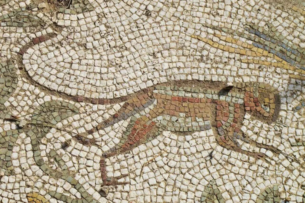 Representación de un mono en un mosaico de una villa romana | Planeta 16 Representación de un mono en un mosaico de una villa romana