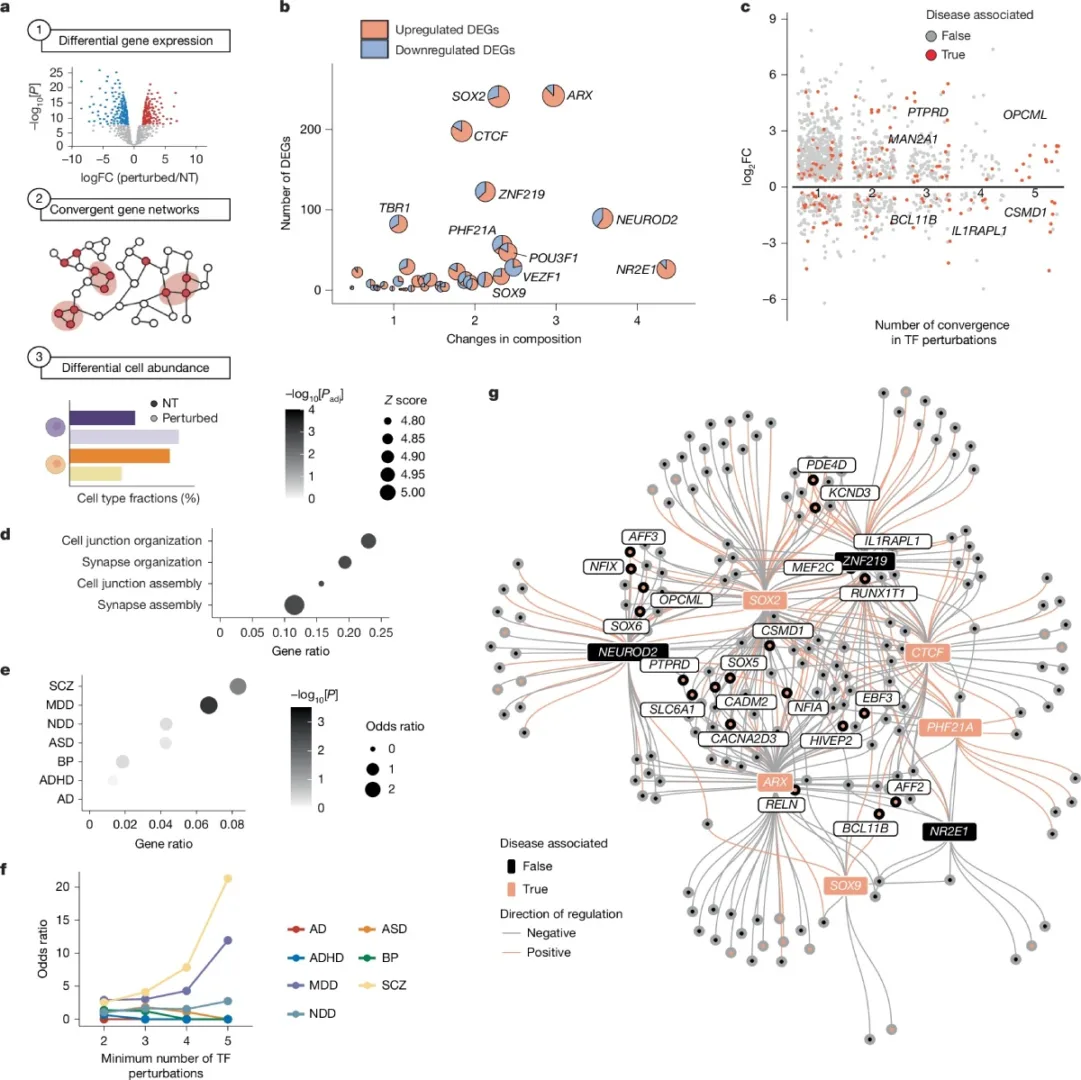conv3-2 | Planeta 16