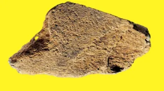 Investigadores confirman el uso de hueso de elefante como herramienta hace 480.000 años en Europa