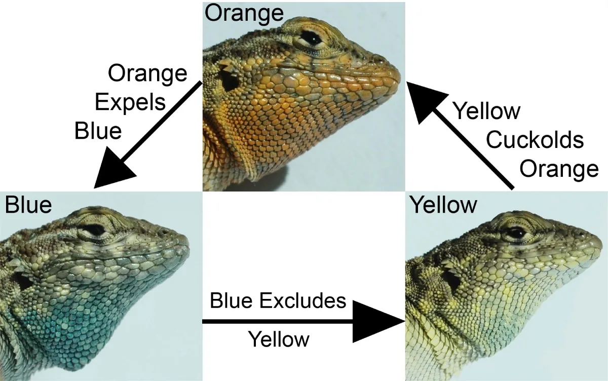 lagarato1 | Planeta 16